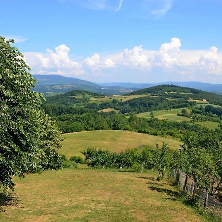Lek Za Dusu Vila Despotovac Exterior foto