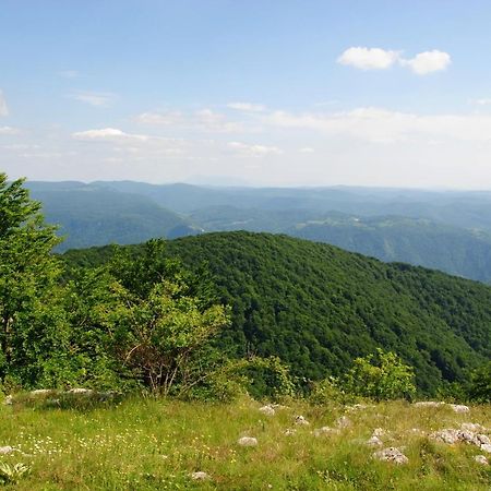 Lek Za Dusu Vila Despotovac Exterior foto
